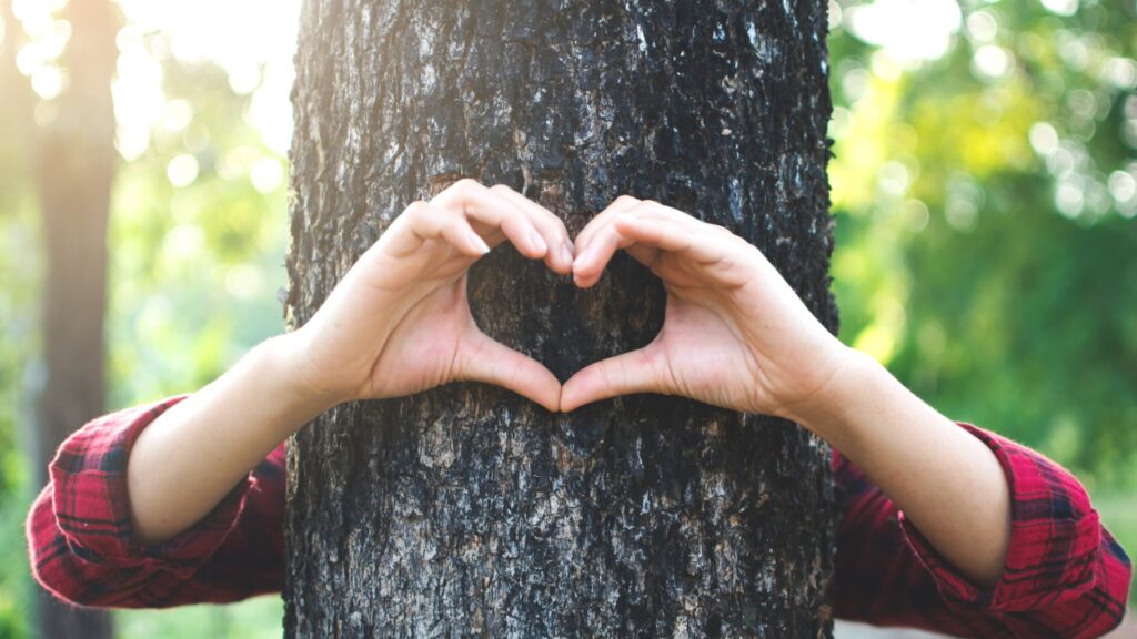 Baum mit Händen, die ein Herz bilden